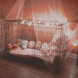 His Puppy - Simon "Ghost" Riley